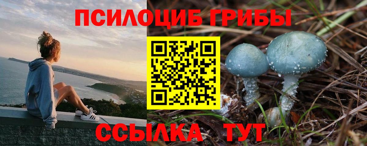 Галлюциногенные грибы ЛСД Валуйки